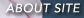 TCgɂ